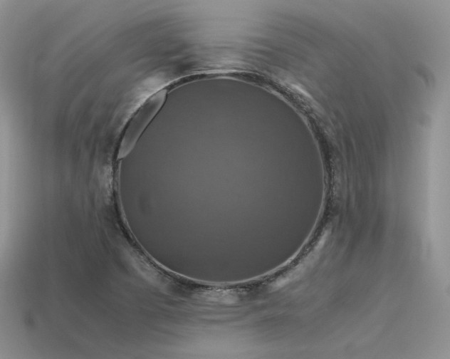 X0000113601457200909181342