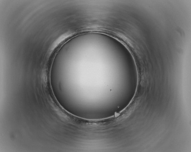 X0000113601458200909181342