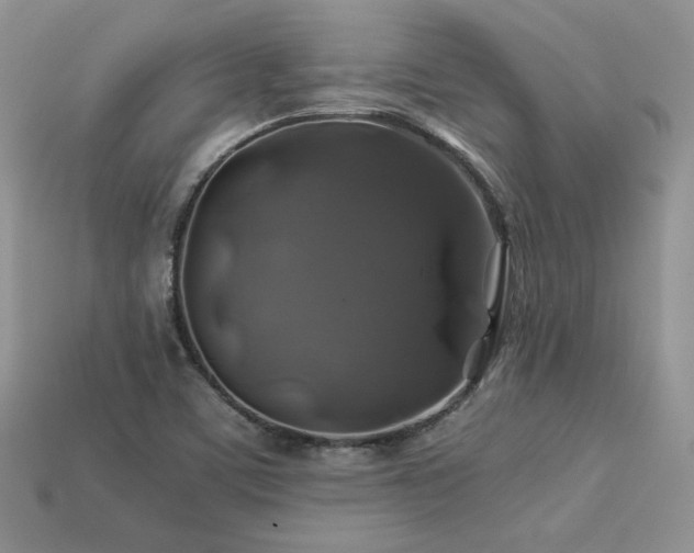 X0000113601459200909181342