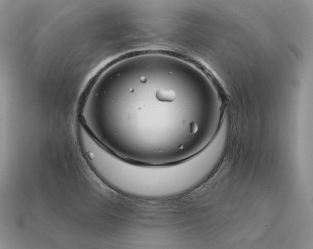 X0000113601460200909181342