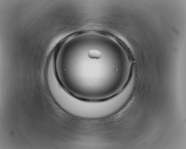 X0000113601461200909181342