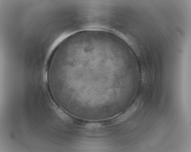 X0000113601462200909181342