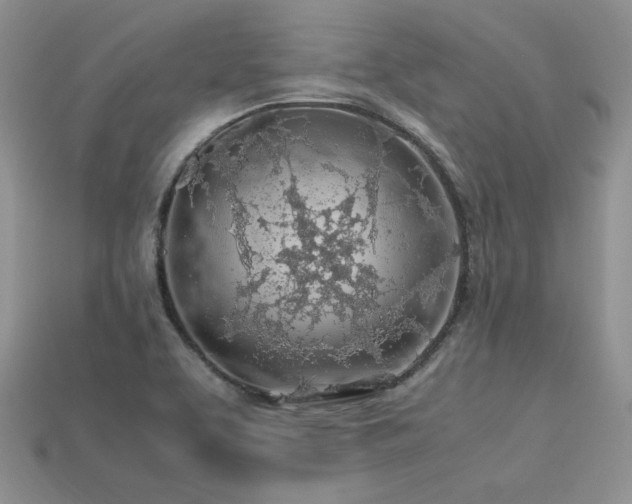 X0000113601463200909181342