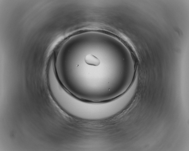 X0000113601464200909181342