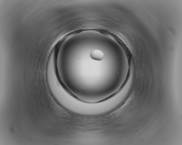 X0000113601465200909181342