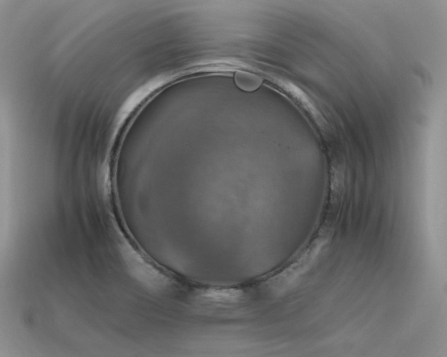 X0000113601466200909181342