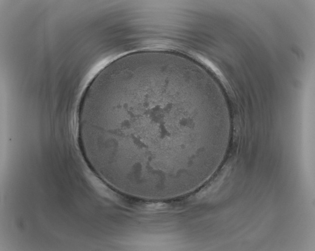 X0000113601467200909181342