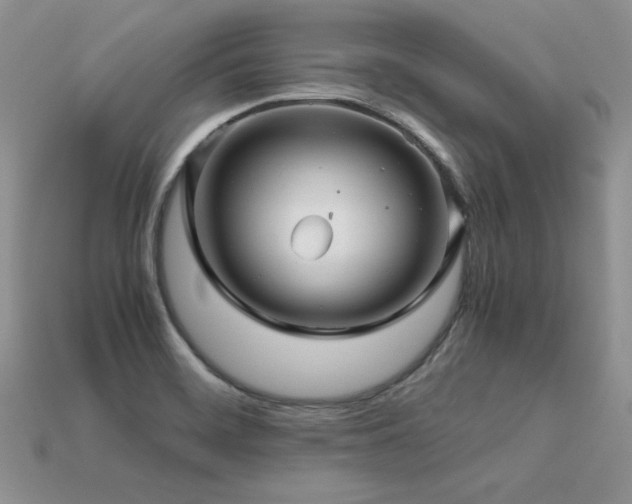 X0000113601468200909181342