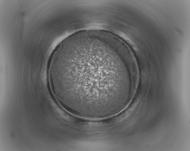 X0000113601469200909181342