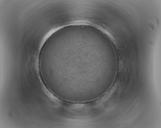 X0000113601470200909181342