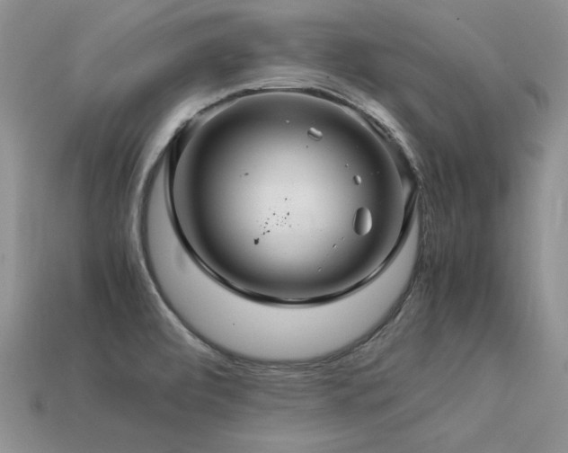 X0000113601472200909181342