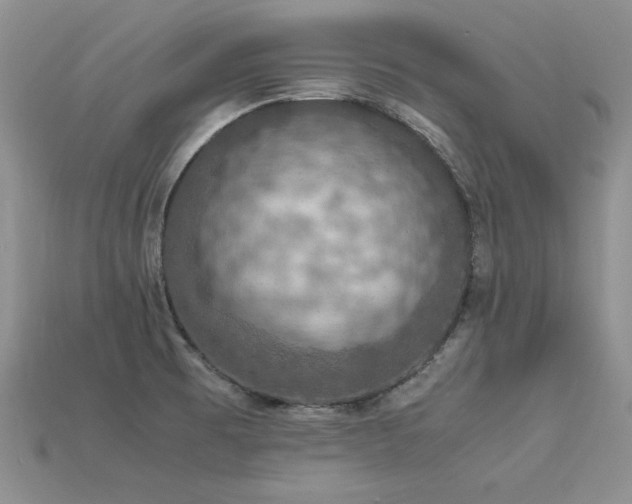 X0000113601473200909181342