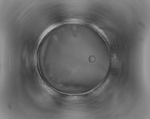 X0000113601474200909181342