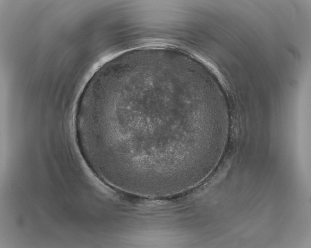 X0000113601475200909181342