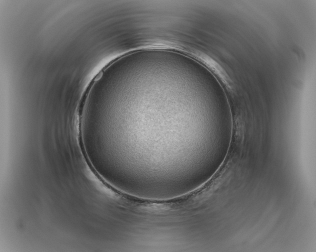 X0000113601476200909181342