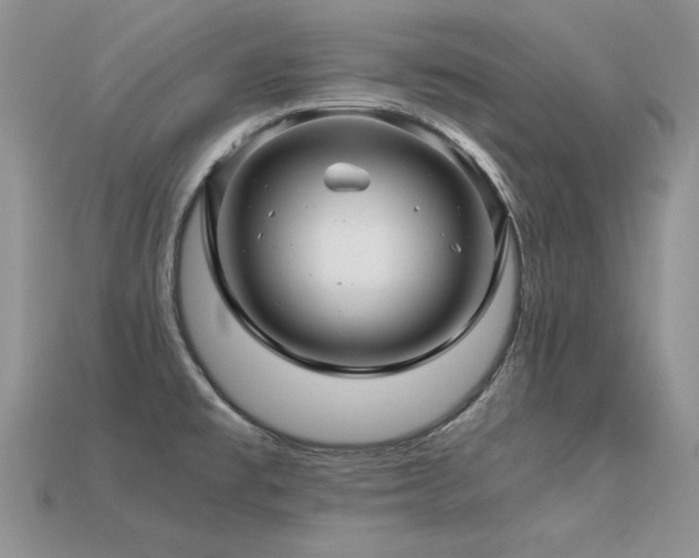 X0000113601477200909181342