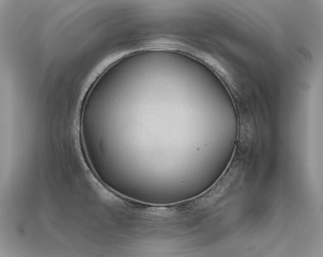 X0000113601478200909181342