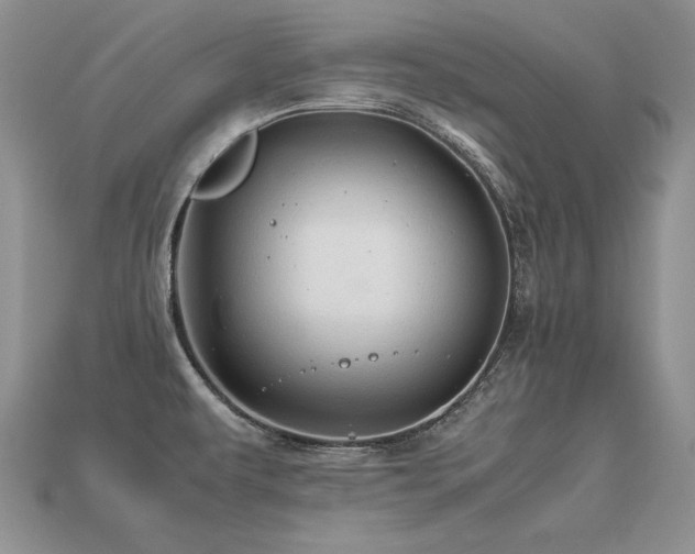 X0000113601479200909181342