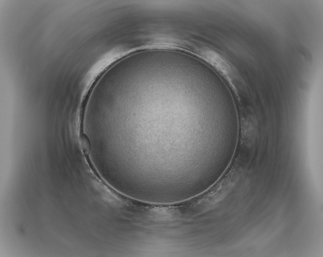 X0000113601480200909181342