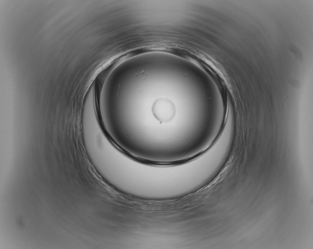 X0000113601481200909181342