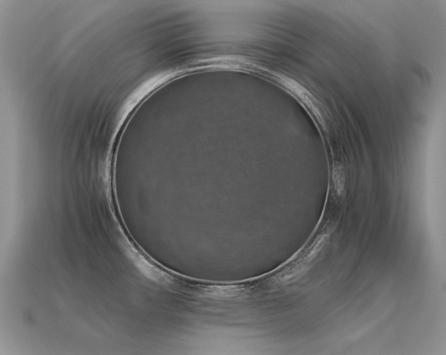 X0000113601482200909181342