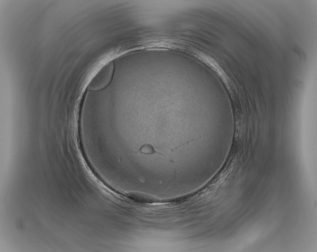 X0000113601483200909181342