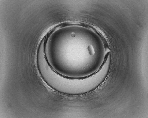 X0000113601485200909181342