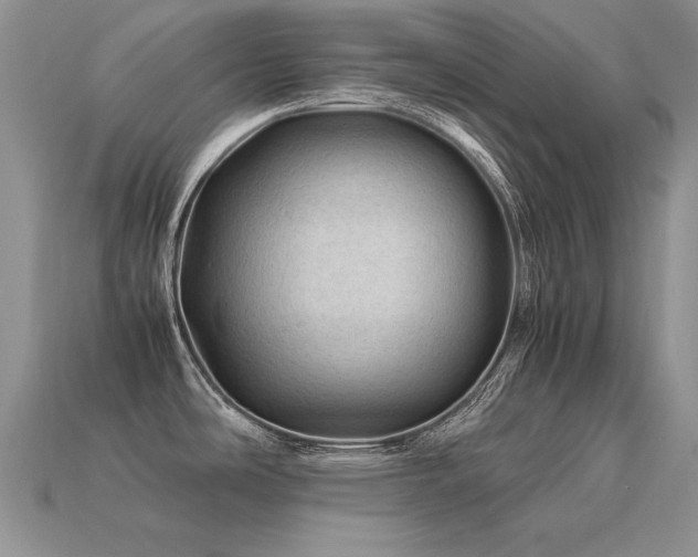 X0000113601486200909181342