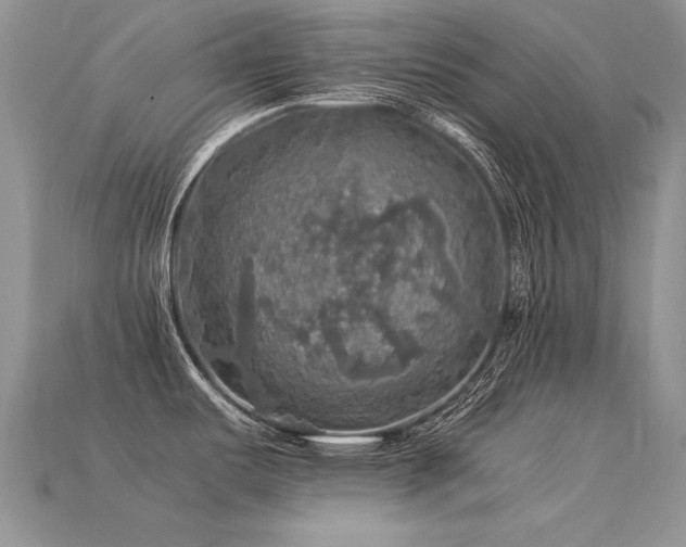 X0000113601487200909181342