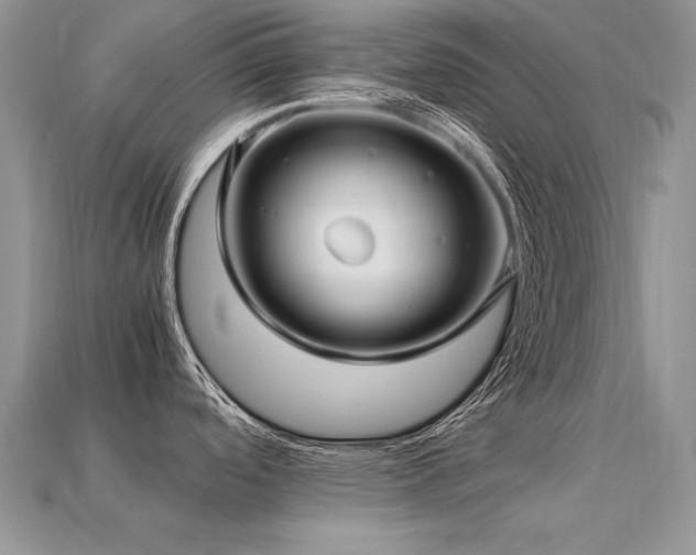 X0000113601488200909181342