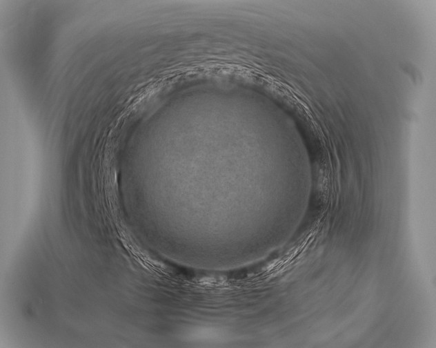 X0000113601489200909181341