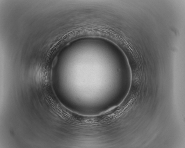 X0000113601490200909181341