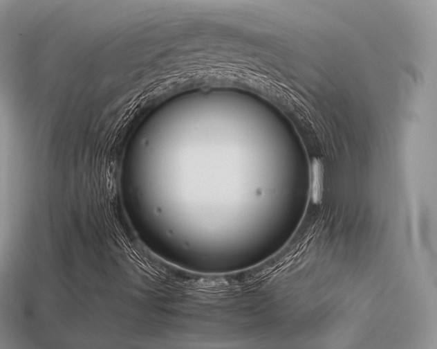 X0000113601491200909181341