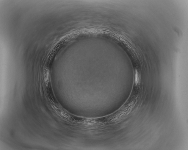 X0000113601492200909181341