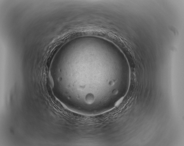 X0000113601493200909181341