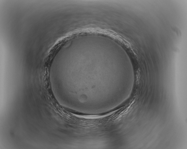 X0000113601494200909181341