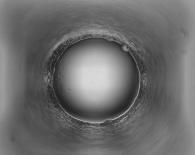 X0000113601495200909181341