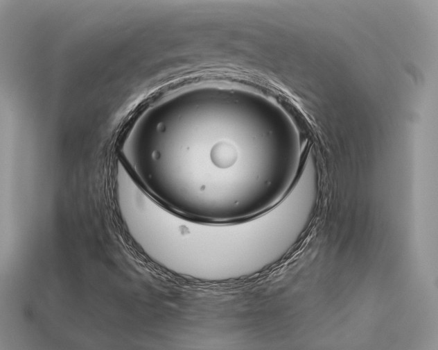 X0000113601496200909181341