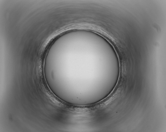 X0000113601498200909181341