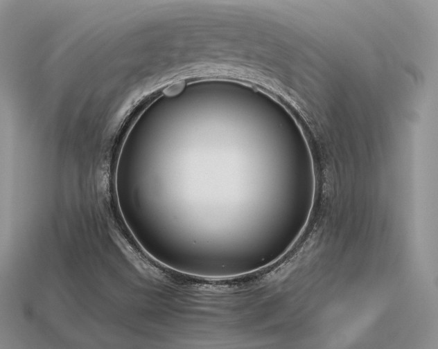 X0000113601499200909181341