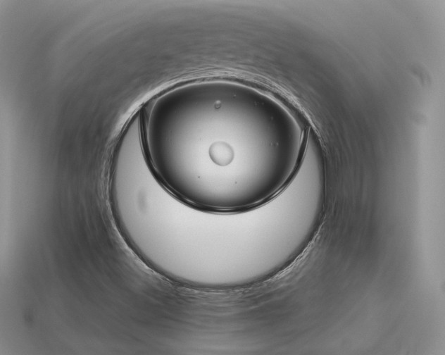 X0000113601500200909181341