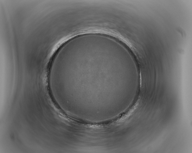 X0000113601501200909181341