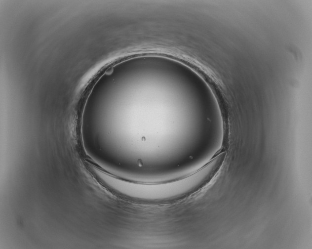 X0000113601502200909181341