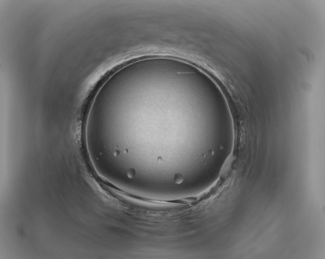 X0000113601503200909181341