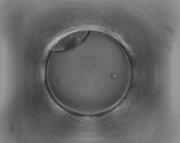 X0000113601504200909181341