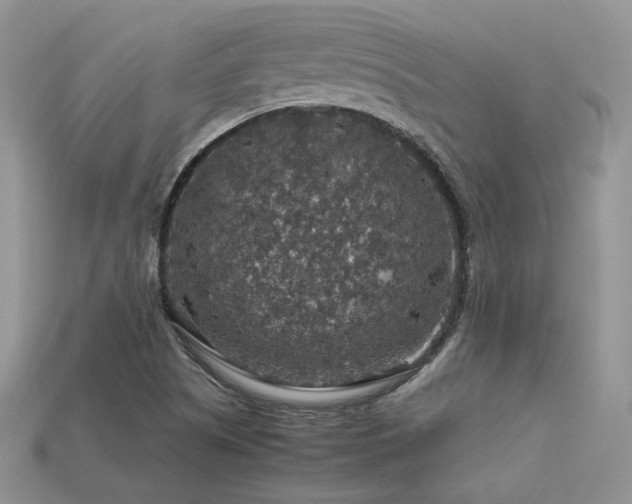 X0000113601505200909181341