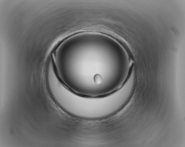 X0000113601506200909181341