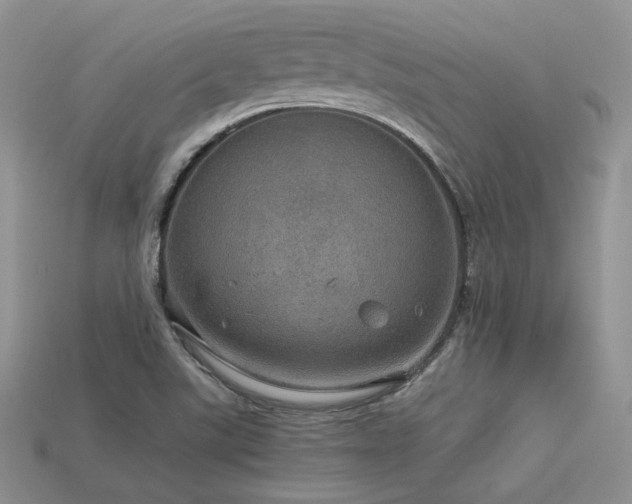 X0000113601507200909181341