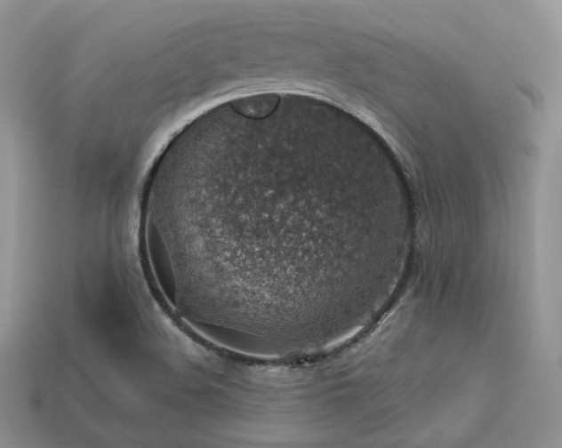 X0000113601508200909181341