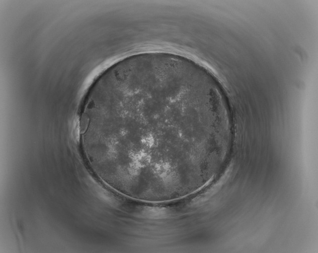 X0000113601509200909181341